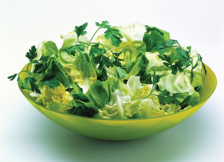 PARKER：如何獲取流量恒定的高純氮?dú)夤?yīng)？