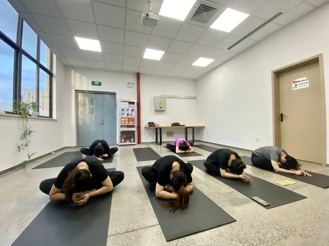 夏日炎炎， 中泰“瑜”你攜手同行